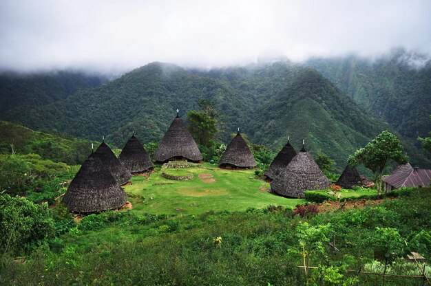 Waerebo flores traditional house in flores island indonesia