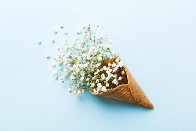 Wafel kegel met prachtige gypsophila bloemen op kleur achtergrond zomer concept Kopie ruimte bovenaanzicht