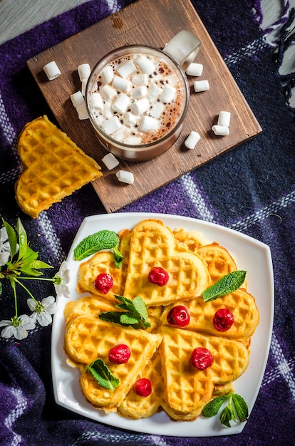 Wafels en warme chocolademelk met marshmallows op een plaid