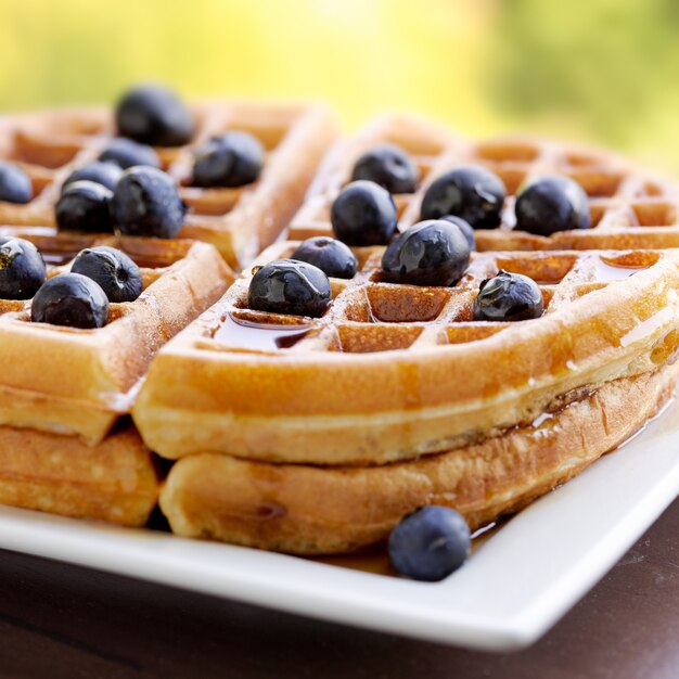 Wafels met bosbessen en stroop op plaat