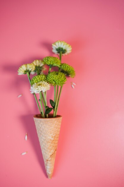 Waffle cone with bouquet of beautiful green chrysanthemums