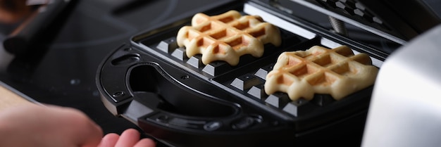 Waffle pastry baking on waffle maker machine closeup