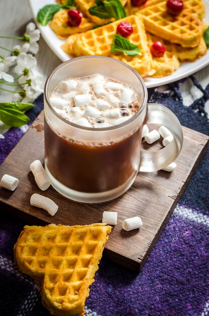 Waffles and hot chocolate with marshmallows on a plaid