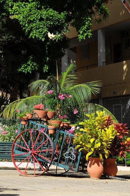 Wagon and Plants