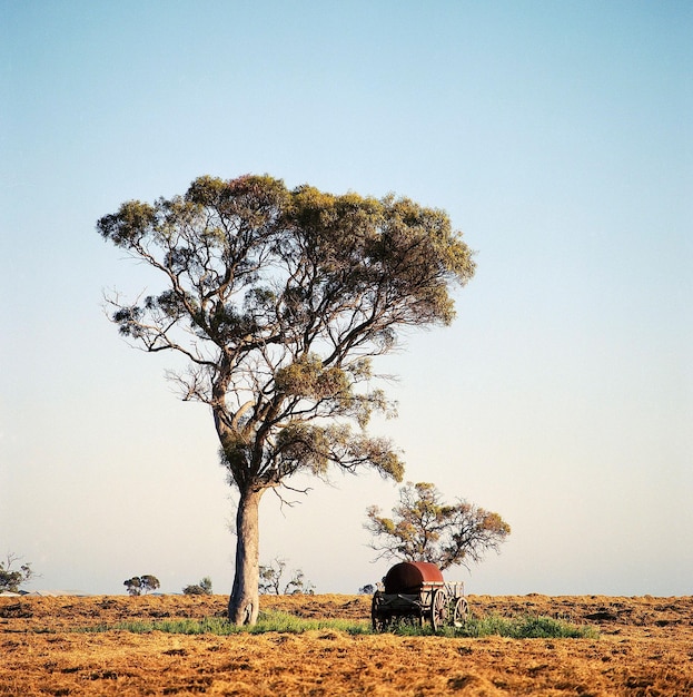 Photo wagon sits under a tree in a plowed field