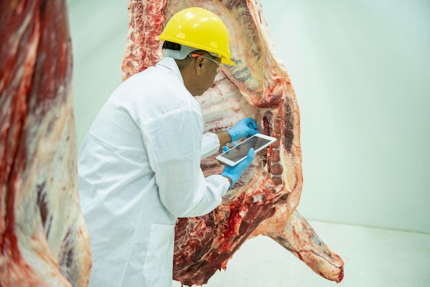 A wagyu butcher holding a tablet inspects the parts counts the\
stock of japanese wagyu beef hanging in the cold room