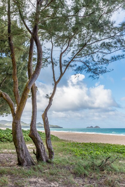 Waimanalo Beach aan de loefzijde van Oahu