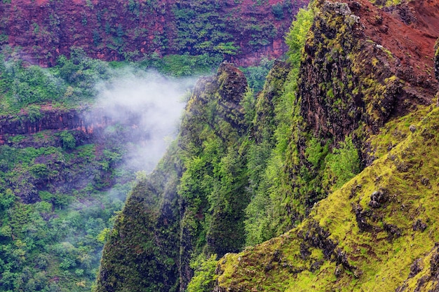 Photo waimea canyon, kauai, hawaii