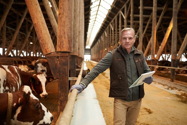 Waist up portrait of modern mature man holding clipboard and smiling at camera while inspecting livestock at shed in dairy farm, copy space