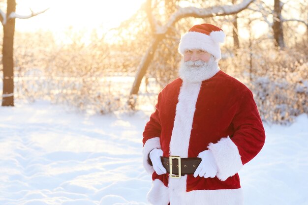 Ritratto in vita del tradizionale babbo natale che sorride alla telecamera all'aperto nella foresta invernale con copia s