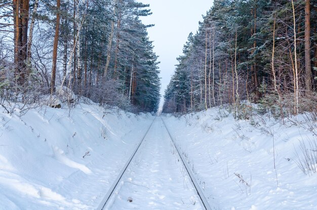 Wait for the way in winter among the woods.