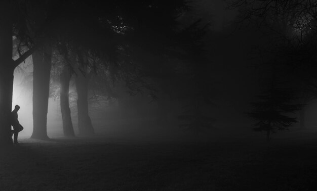 Foto aspettando fino alla fine un colpo in una notte nebbiosa in un parco