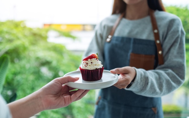 A waitress holding and serving a piece of red velvet cupcake to customer