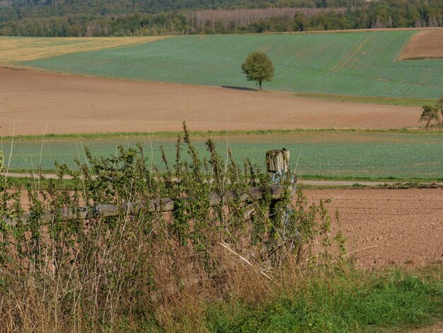 Foto waldeck e l'edersse in germania