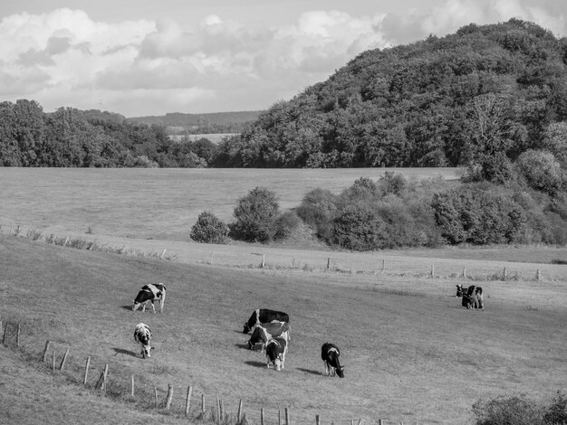 Photo waldeck in germany