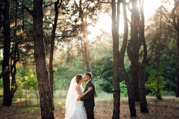 Walk of the bride and groom through the autumn forest in October