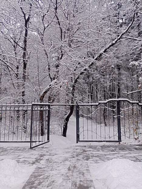 Foto passeggiata porta nella recinzione in un vecchio bellissimo parco trascurato coperto di neve inverno nuvoloso