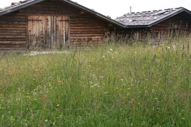 Прогулка по итальянским Доломитовым Альпам