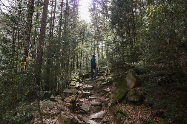 여자와 함께 Ordesa와 Monte Perido National Park를 걷습니다.