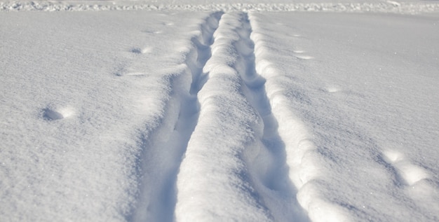 冬の森を散歩。雪の木とクロスカントリースキーコース。美しく珍しい道路や森の小道。美しい冬の風景。