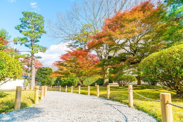 秋の公園で歩く