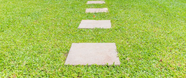 Walk way on the lawn