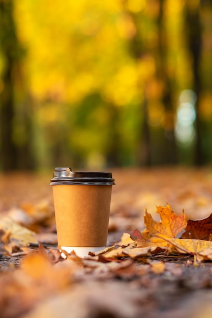 Фото Прогулка с чашкой горячего какао в осеннем парке. ремесленная чашка кофе на дороге с желтыми опавшими листьями