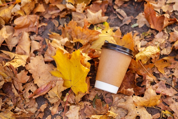 Walk with a cup of hot cocoa in the autumn park. craft cup of\
coffee on the road with yellow fallen leaves