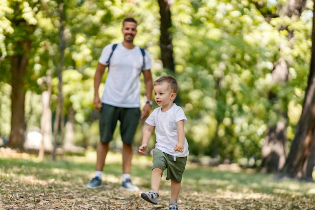 A walk in the woods