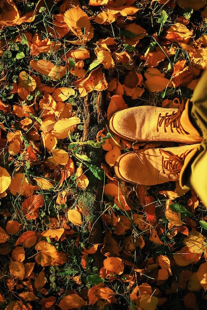 Walking along the path in the leaves