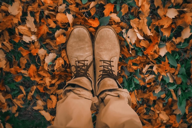 Walking along the path in the leaves