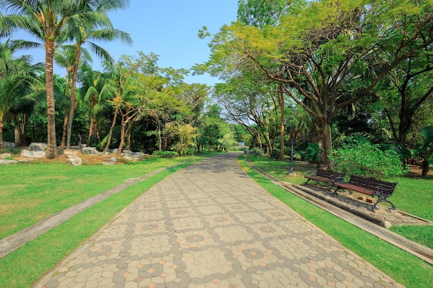 写真 バンコク・タイの公園で散歩とジョギング