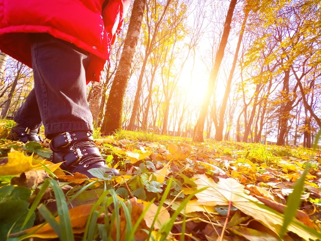 Ходить и пинать сухие листья в парке с солнечными бликами на заднем плане, широкоугольный вид с земли