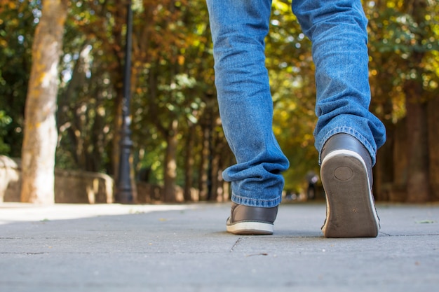 Walking for autumnal path. 