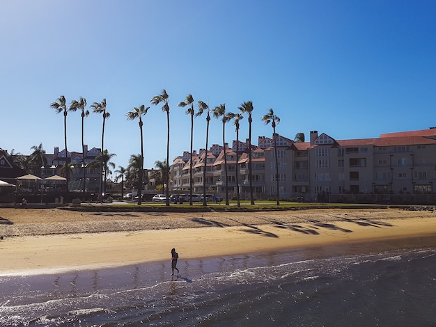 Walking on the beach in the afternoon