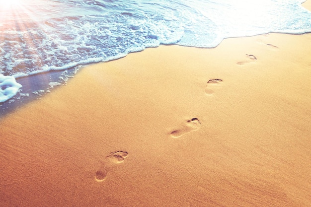 Walking on the beach leaving footprints in the sand