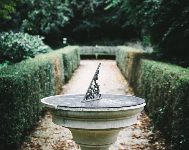 Foto camminare a chiswick, londra