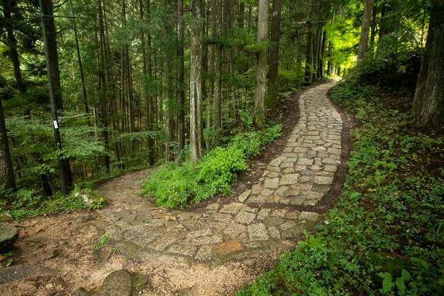 Photo walking the cobblestone road following the nakasendo trail between tsumago and magome in kiso valley