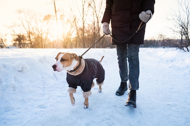 寒い冬の日に犬を散歩します。公園でひもに暖かい服装で犬と人