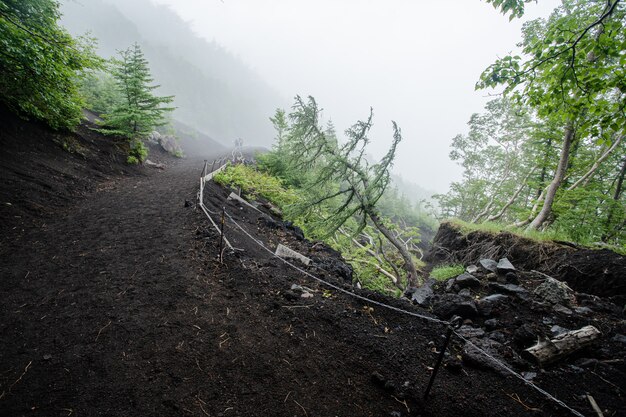 霧で富士山を歩く