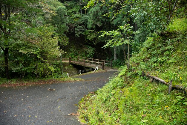 Photo walking the hiking road following the nakasendo trail between tsumago and magome in kiso valley jap