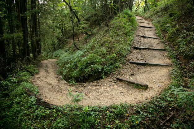 Photo walking the hiking road following the nakasendo trail between tsumago and magome in kiso valley jap