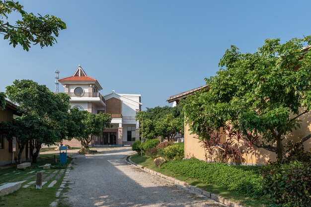 The walking path in the park is surrounded by trees