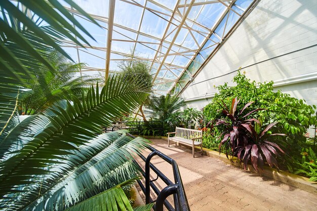 Walking path with lone bench in rainforest greenhouse