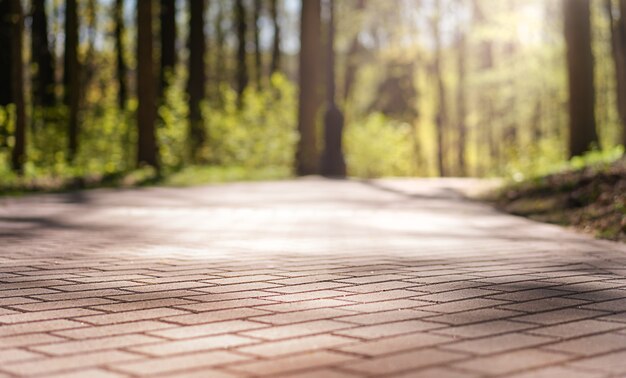 Photo walking paths paved with tiles in the city park