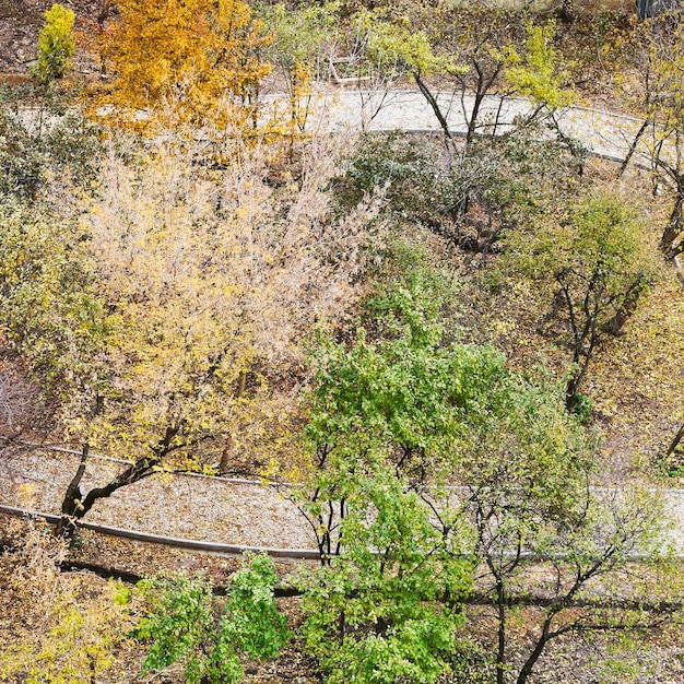 Walking paths in public garden in autumn