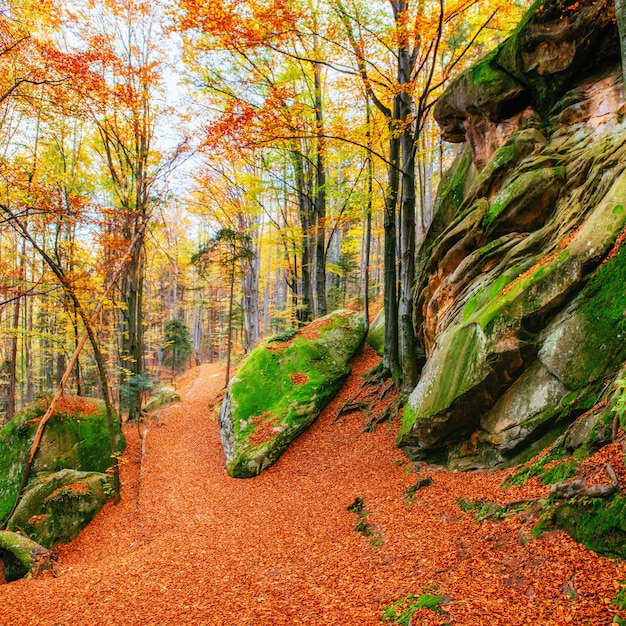 Walking in rocky terrain in the forest. Ukraine Europe