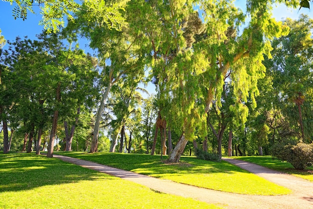 Passeggiando per il parco del buen retiro. (parque de el retiro)- il più grande e il più bello dei parchi di madrid.