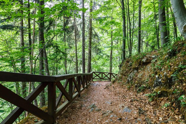 Walking trail in the mountains with wooden handrails