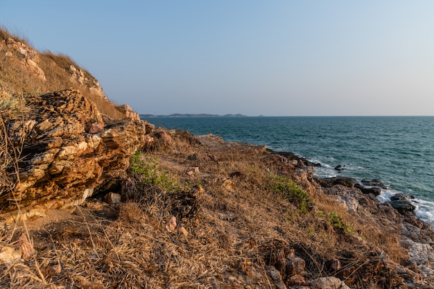 Walking trail in wild grass field opposite the sea panorama